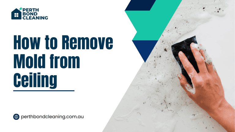 How to Remove Mold from Ceiling A Complete Guide for Homeowners